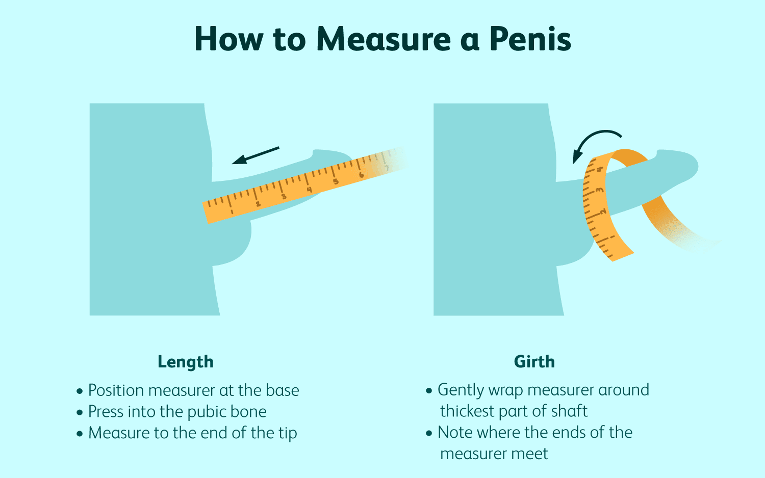 how to measure condom size, how to measure a penis