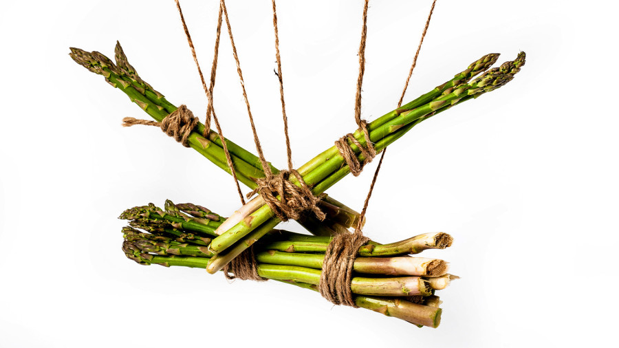 asparagus tied with ropes, SSC BDSM contract rules