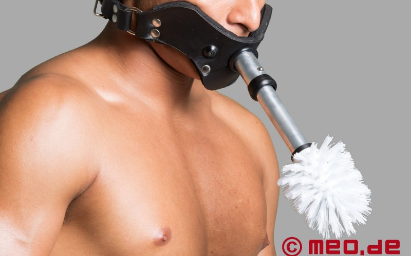 BDSM toilet bowl brush harness, BDSM cleaning, BDSM task ideas, male chastity