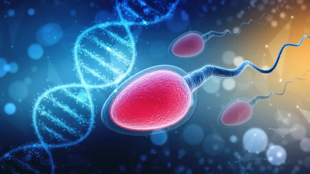 illustration of sperm and dna chain