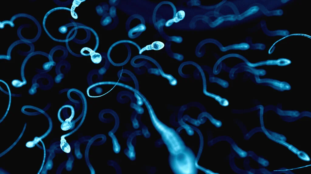 close up image of sperm in blue and black 