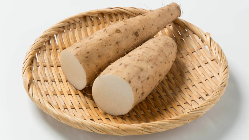 wild yam birth control