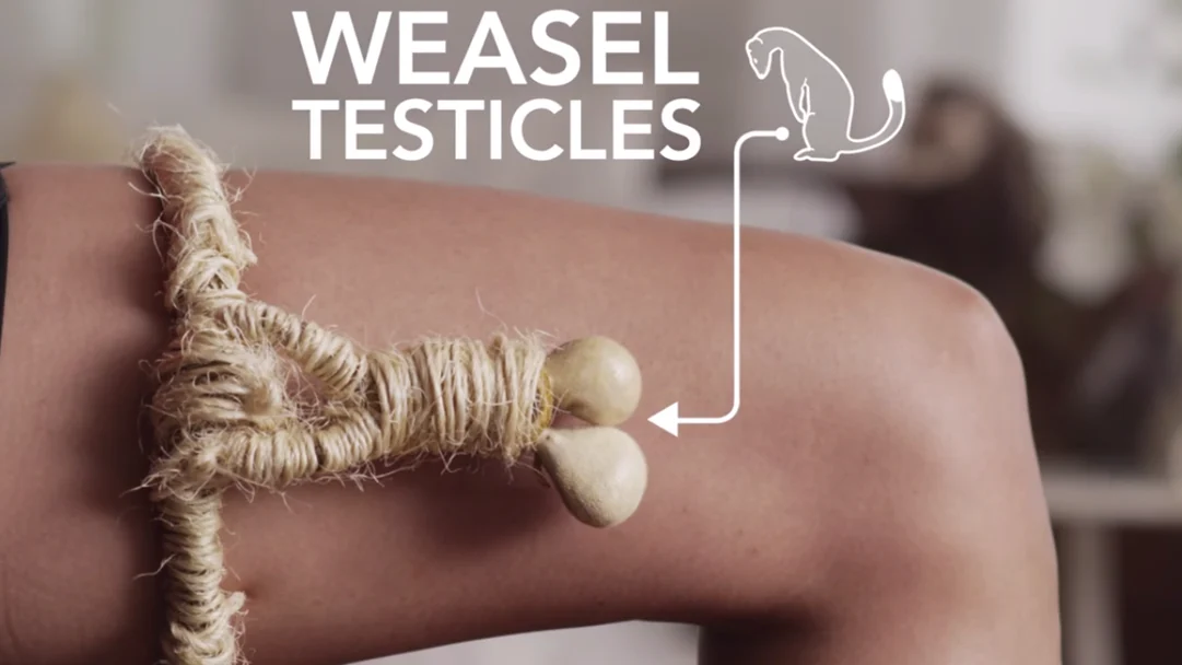 ancient birth control weasel testicles