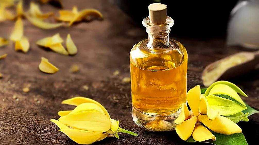 ylang ylang essential oils