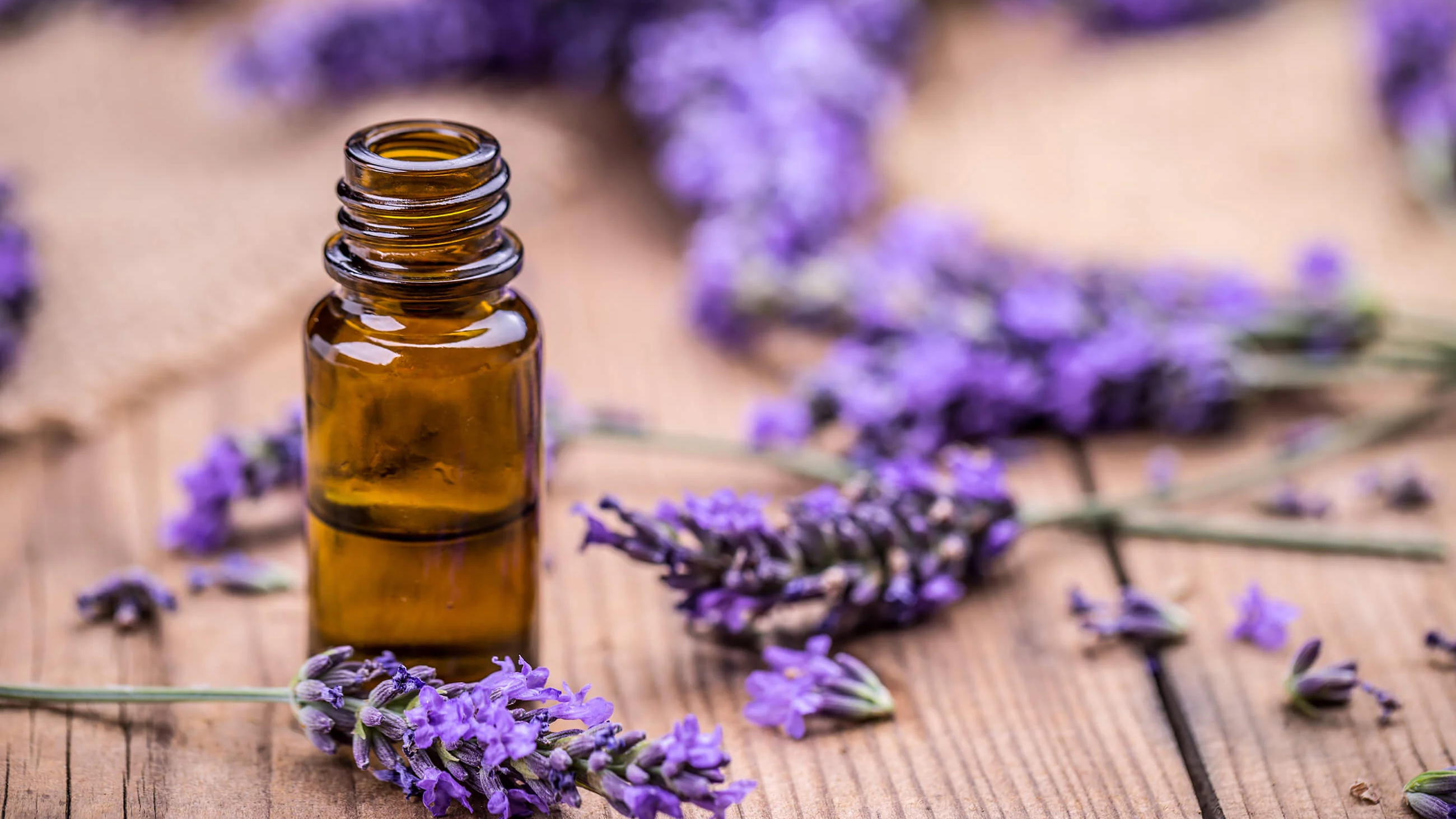 lavendar oil aromatherapy