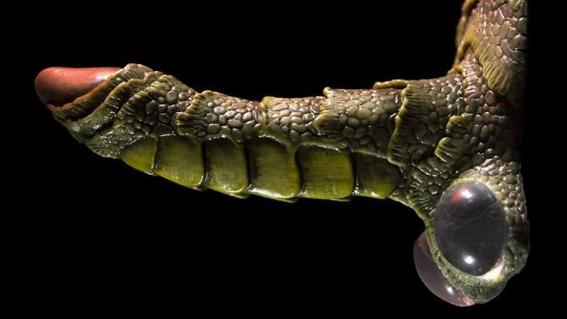 fantasy-themed monster dildos, erptile dildo, where to buy monster dildos
